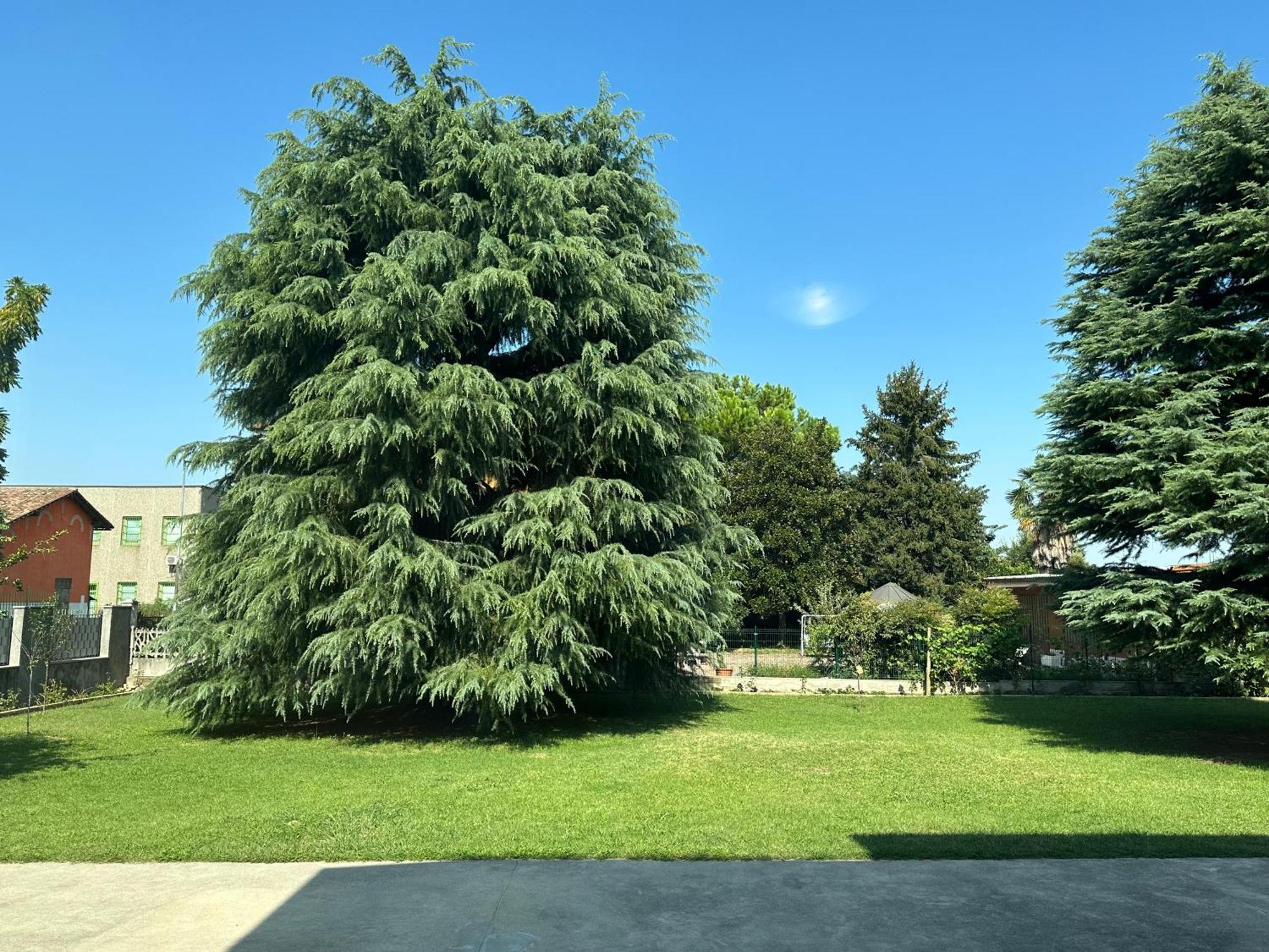 Villa 2 Cassano dʼAdda Dış mekan fotoğraf
