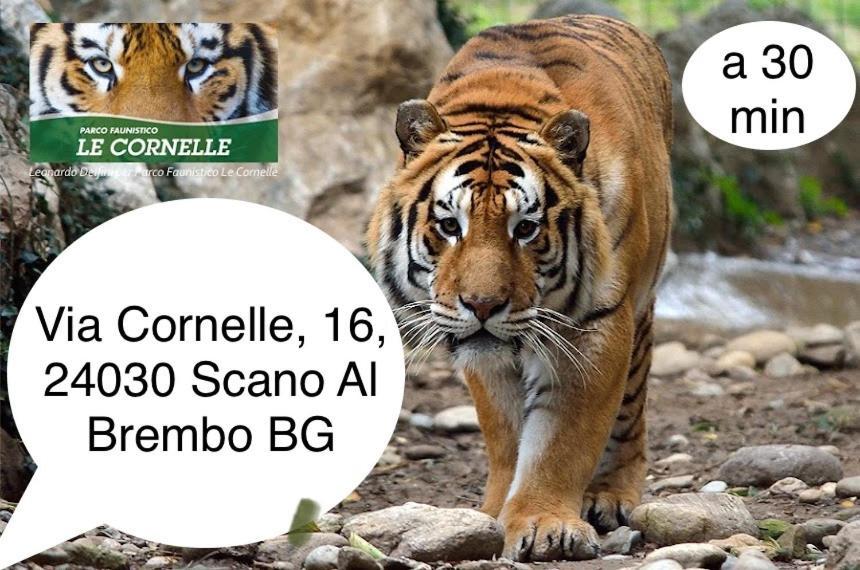 Villa 2 Cassano dʼAdda Dış mekan fotoğraf